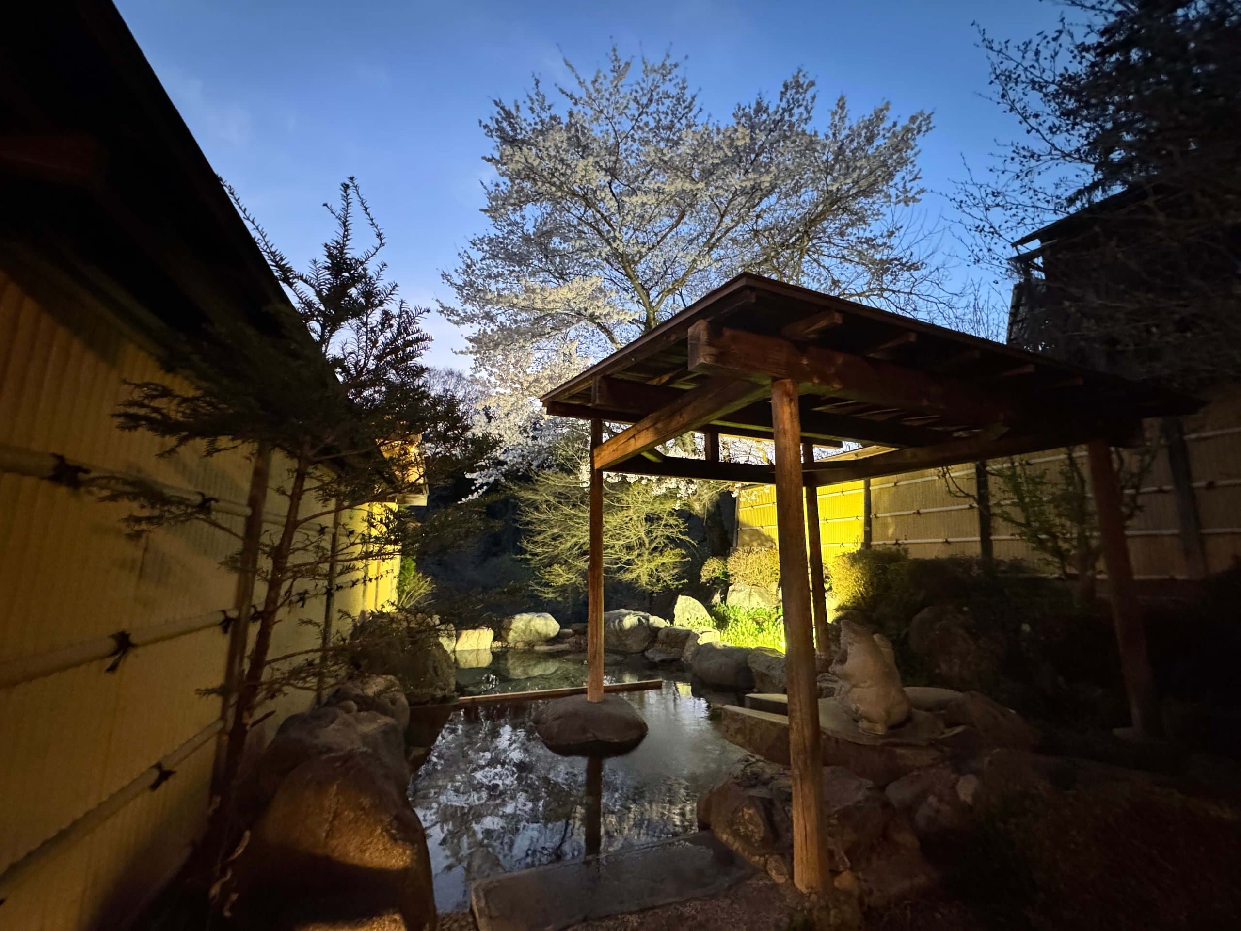 夕暮れの露天風呂。桜が湯に映る
